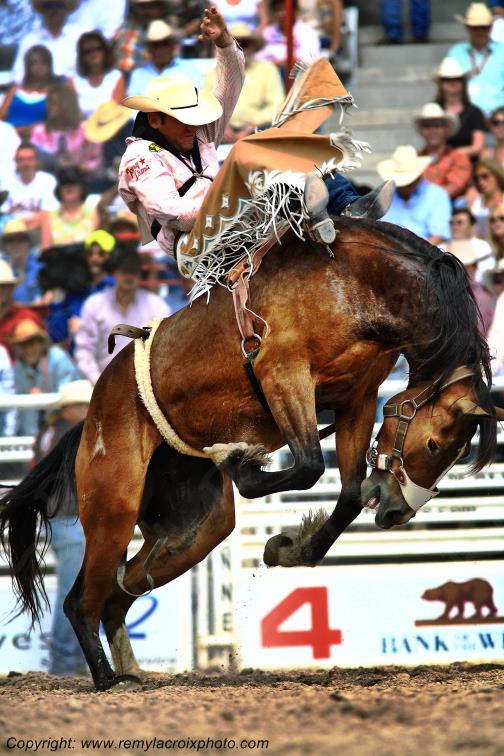 Cheyenne Frontier Days rodeo Wyoming USA www.remylacroixphoto.com