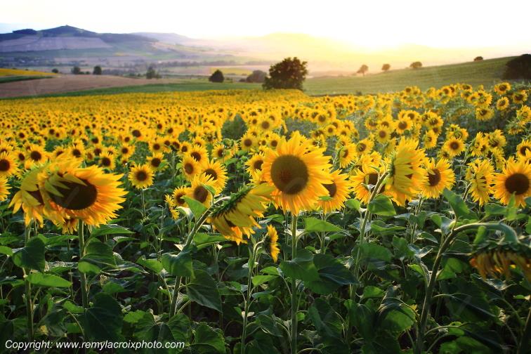Montaigut Puy de D�me Auvergne Rh�ne-Alpes France www.remylacroixphoto.com