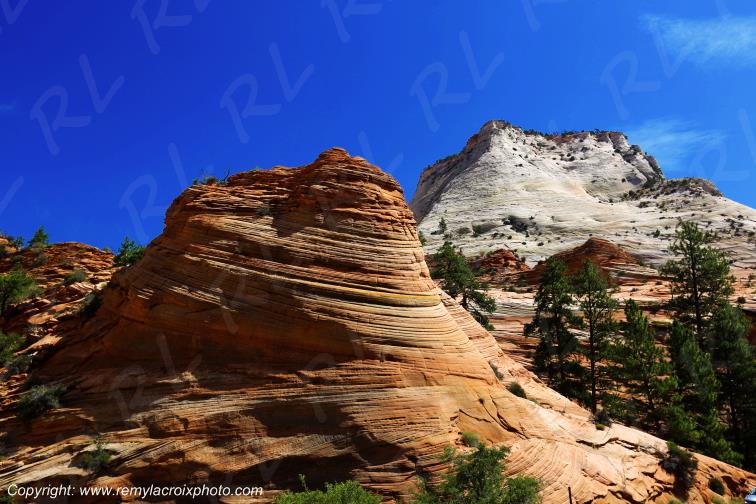 Mount Carmel Highway Zion National Park Utah USA www.remylacroixphoto.com