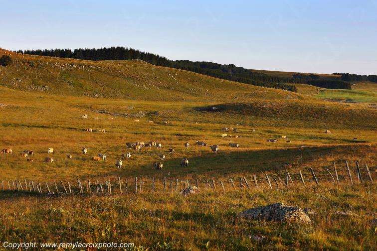 Col de Bonnecombe Aubrac Loz�re Languedoc-Roussillon Occitanie France www.remylacroixphoto.com