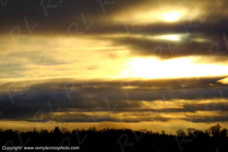 Port Conac Estuaire de la Gironde Carrelets Charente-Maritime France