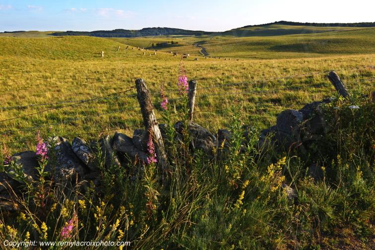 Col de la Matte Aubrac Cantal Auvergne Rh�ne-Alpes France www.remylacroixphoto.com