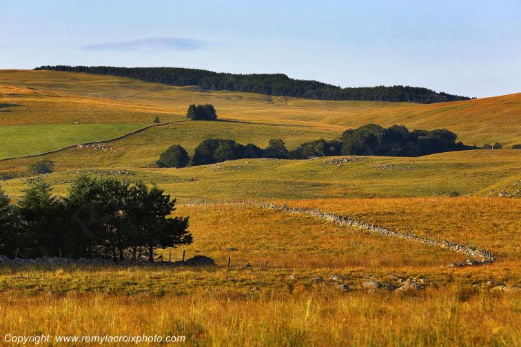 Col de Bonnecombe Aubrac Loz�re Languedoc-Roussillon Occitanie France www.remylacroixphoto.com