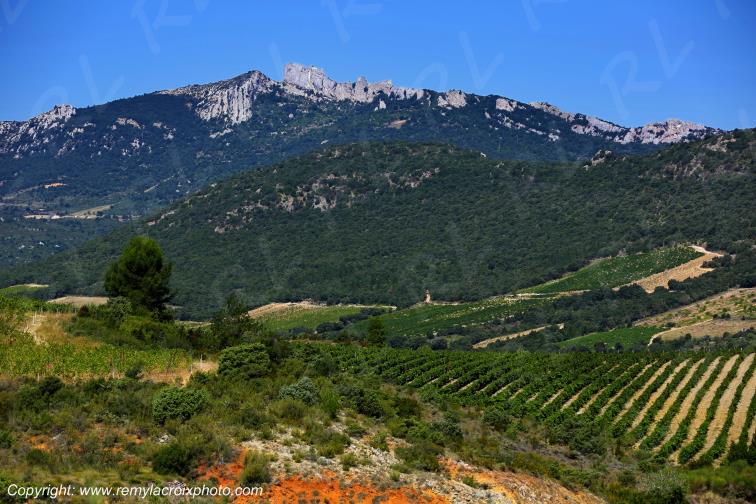 Ch�teau Cathare de Peyrepertuse Corbi�res Aude France