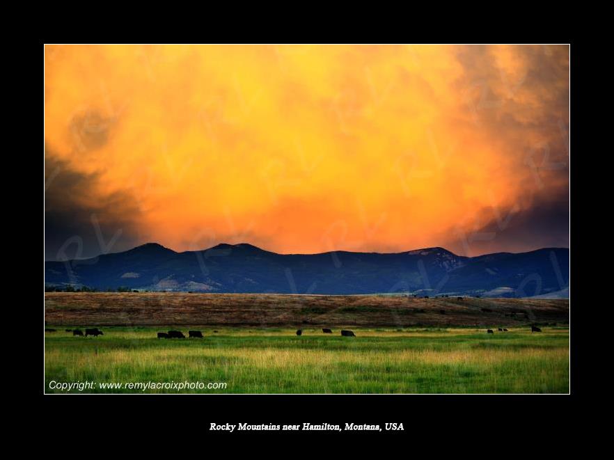 Rocky Mountains Hamilton Montana USA www.remylacroixphoto.com