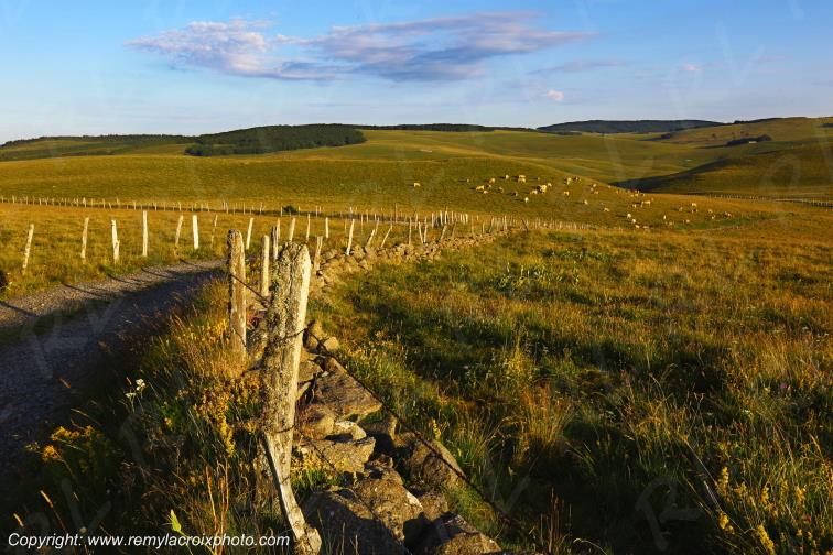 Col de la Matte Aubrac Cantal Auvergne Rh�ne-Alpes France www.remylacroixphoto.com
