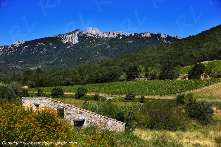 Ch�teau Cathare de Peyrepertuse Corbi�res Aude France