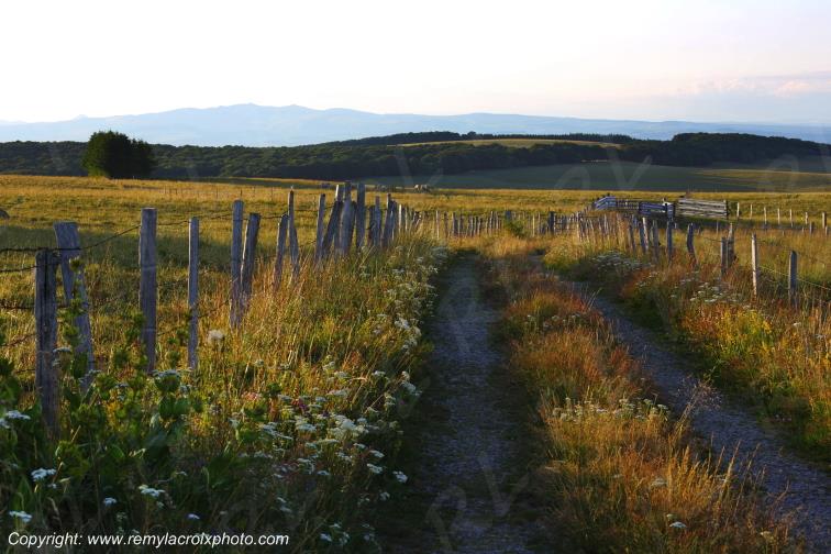Col de la Matte Aubrac Cantal Auvergne Rh�ne-Alpes France www.remylacroixphoto.com
