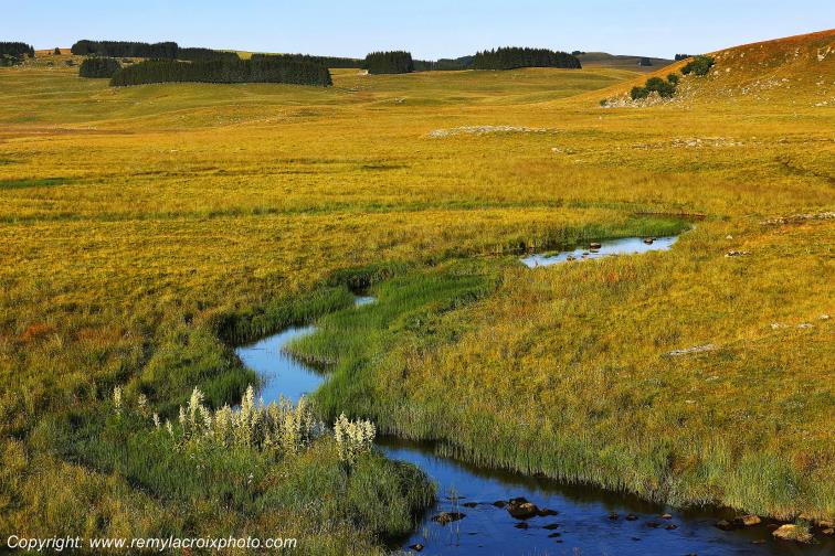 Ruisseau Le Pl�ches Nasbinals Aubrac Loz�re Languedoc-Roussillon Occitanie France www.remylacroixphoto.com