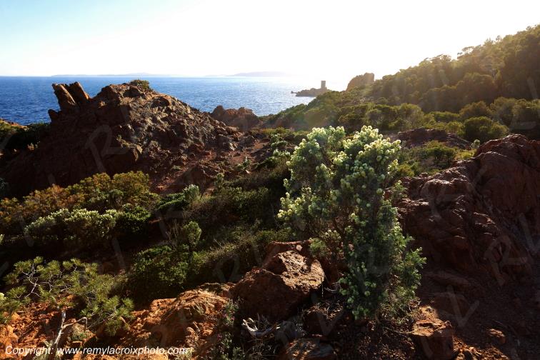 Cap du Dramont corniche de l'Esterel C�te d'Azur Var France