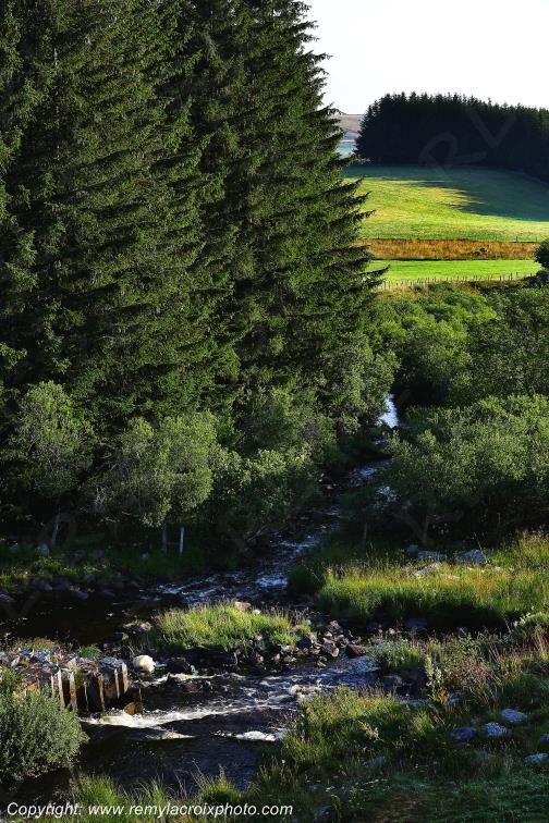 Ruisseau Le Pl�ches Nasbinals Aubrac Loz�re Languedoc-Roussillon Occitanie France www.remylacroixphoto.com