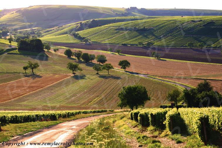 Sancerrois vignoble Cher Berry Centre Val de Loire France