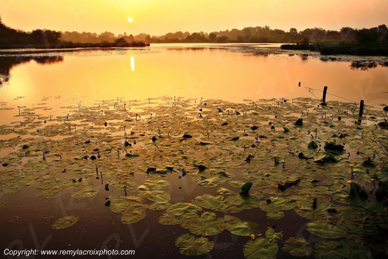 Etang du Coudray parc naturel r�gional de la Brenne Indre Berry Centre Val de Loire France