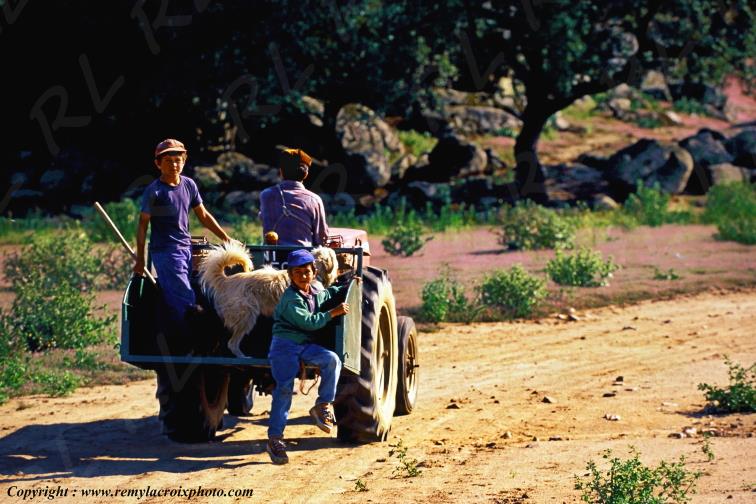 Mourao Alentejo Portugal www.remylacroixphoto.com
