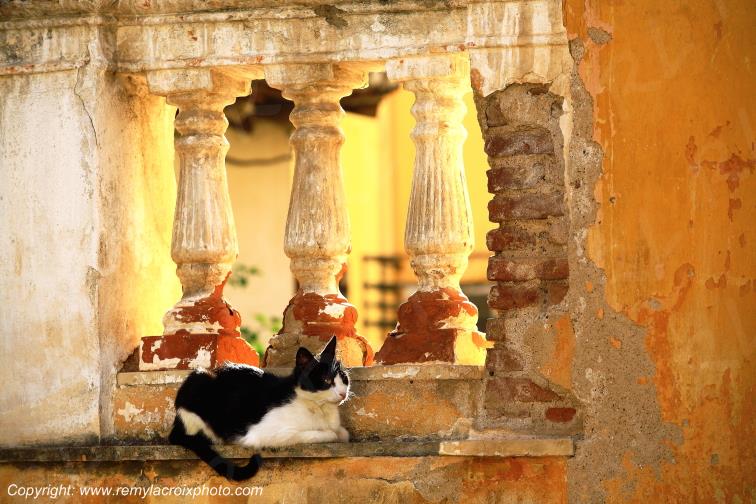 Nauplie P�loponn�se Gr�ce Peloponnese Greece