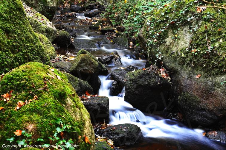 Gorges de Narvau Morvan Ni�vre Bourgogne Franche Comt� France www.remylacroixphoto.com