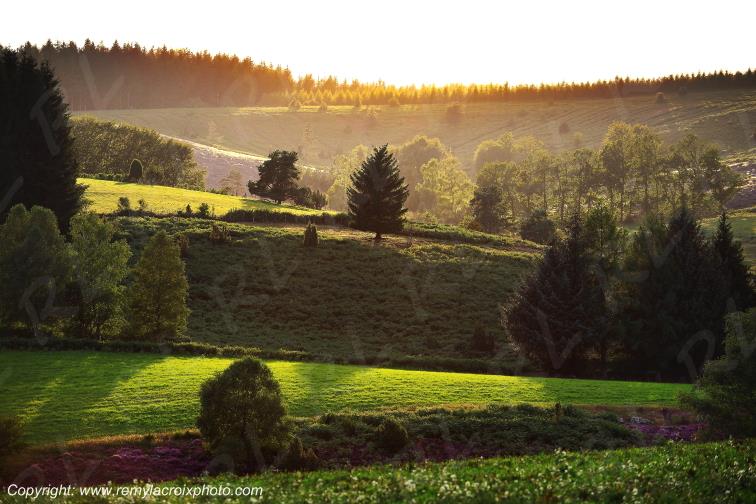 Millevaches F�niers Creuse Limousin Nouvelle Aquitaine France www.remylacroixphoto.com