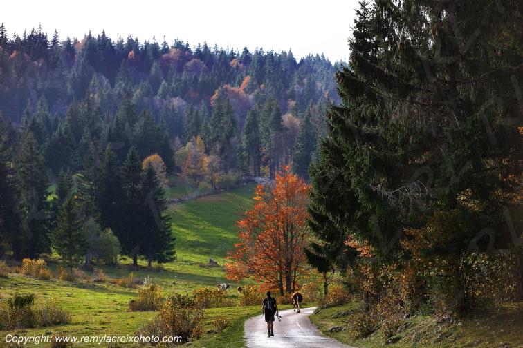 Mont d'Or Doubs Bourgogne Franche Comt� France www.remylacroixphoto.com