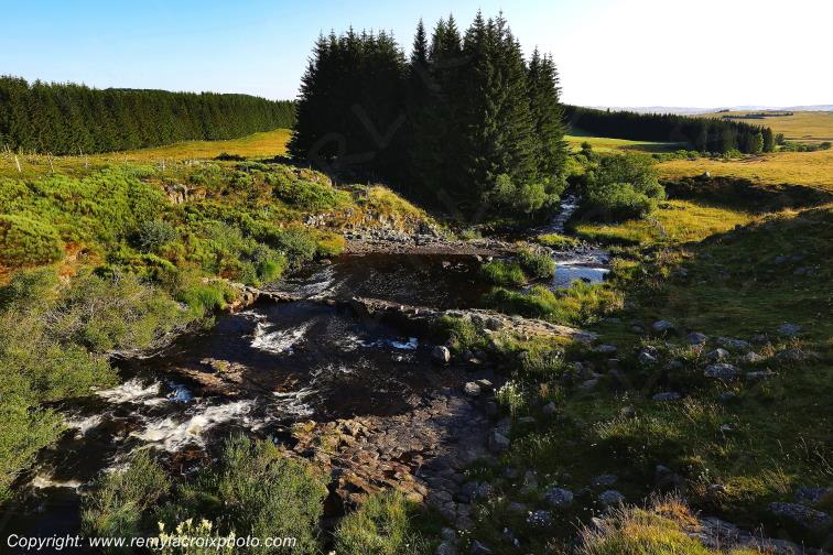 Ruisseau Le Pl�ches Nasbinals Aubrac Loz�re Languedoc-Roussillon Occitanie France www.remylacroixphoto.com