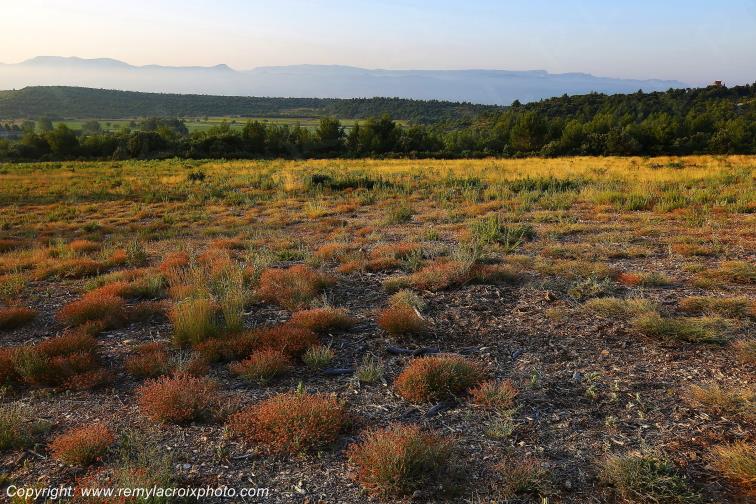 Montagne Sainte Victoire Saint Ser Bouches du Rh�ne Provence Alpes C�te d'Azur France www.remylacroixphoto.com