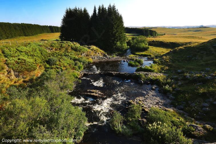 Ruisseau Le Pl�ches Nasbinals Aubrac Loz�re Languedoc-Roussillon Occitanie France www.remylacroixphoto.com