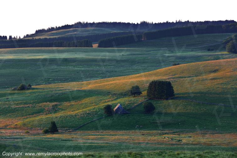Col de la Matte Aubrac Cantal Auvergne Rh�ne-Alpes France www.remylacroixphoto.com