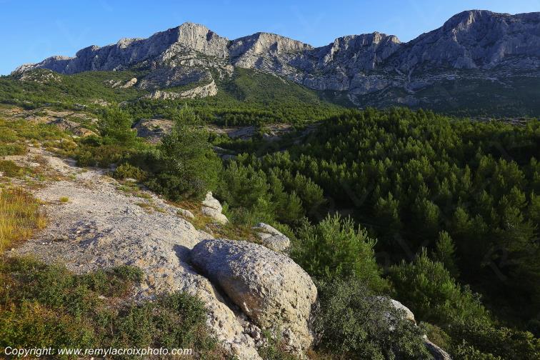 Montagne Sainte Victoire Saint Ser Bouches du Rh�ne Provence Alpes C�te d'Azur France www.remylacroixphoto.com