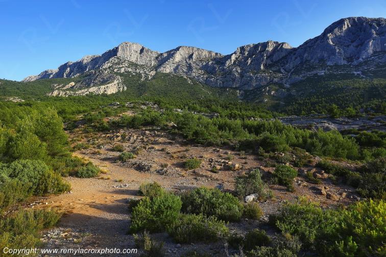 Montagne Sainte Victoire Saint Ser Bouches du Rh�ne Provence Alpes C�te d'Azur France www.remylacroixphoto.com