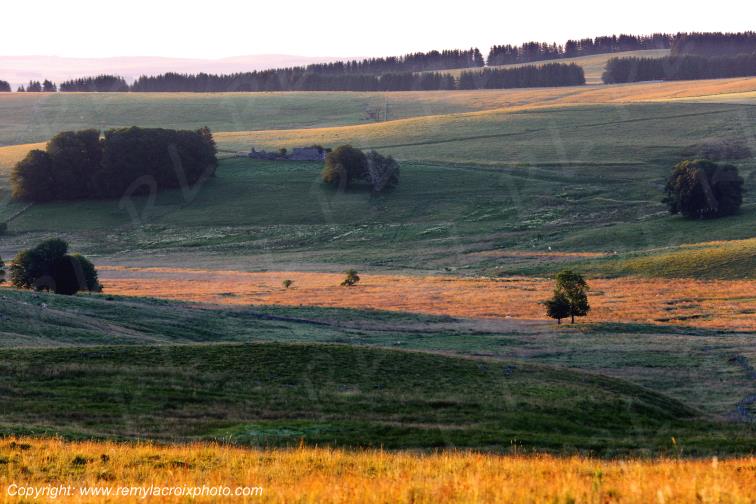 Col de la Matte Aubrac Cantal Auvergne Rh�ne-Alpes France www.remylacroixphoto.com