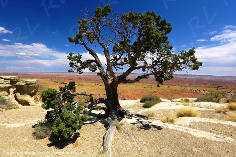 Salt Wash Point Utah USA www.remylacroixphoto.com