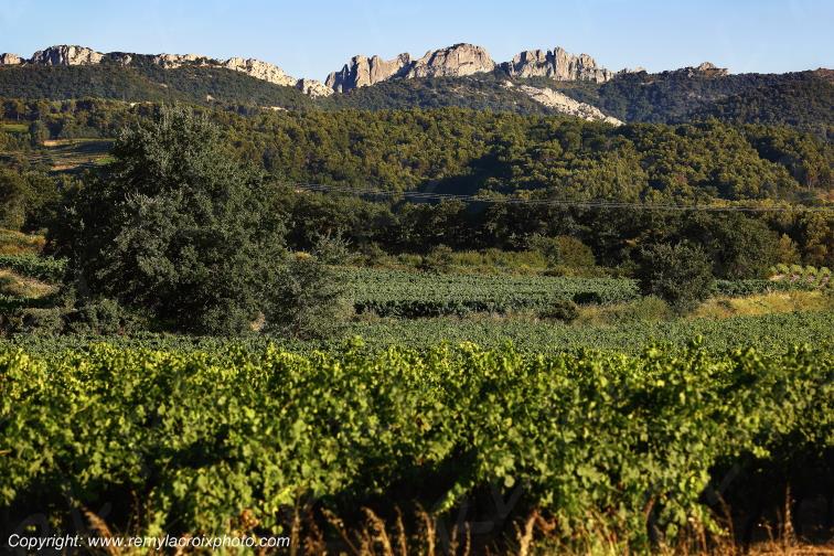 S�guret Vaucluse Provence Alpes C�te d'Azur PACA France www.remylacroixphoto.com