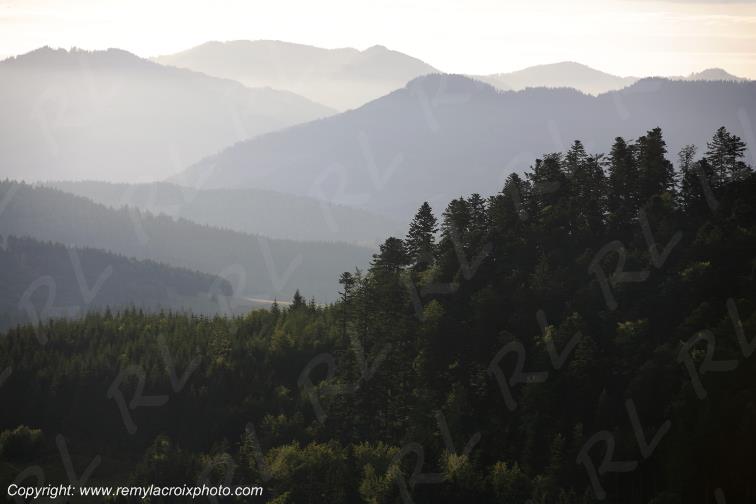 Col de Belchen For�t Noire Allemagne Deutchland Germany Europe Europ www.remylacroixphoto.com