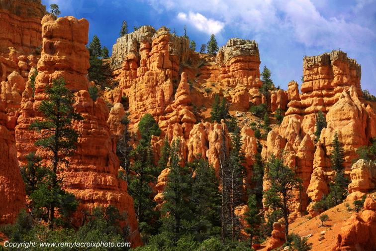 Red Canyon Utah USA www.remylacroixphoto.com