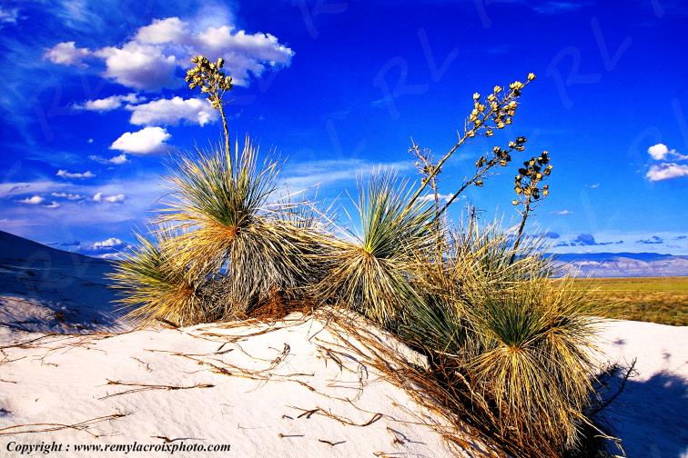 White Sands National Monument New-Mexico USA www.remylacroixphoto.com