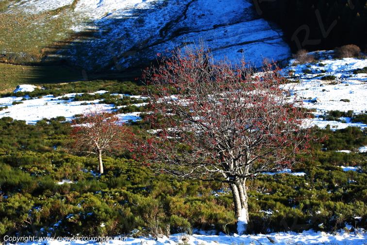 Col de Serre Cantal Auvergne Rh�ne-Alpes France www.remylacroixphoto.com