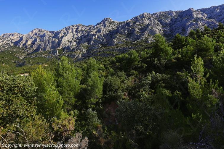 Montagne Sainte Victoire Saint Ser Bouches du Rh�ne Provence Alpes C�te d'Azur France www.remylacroixphoto.com