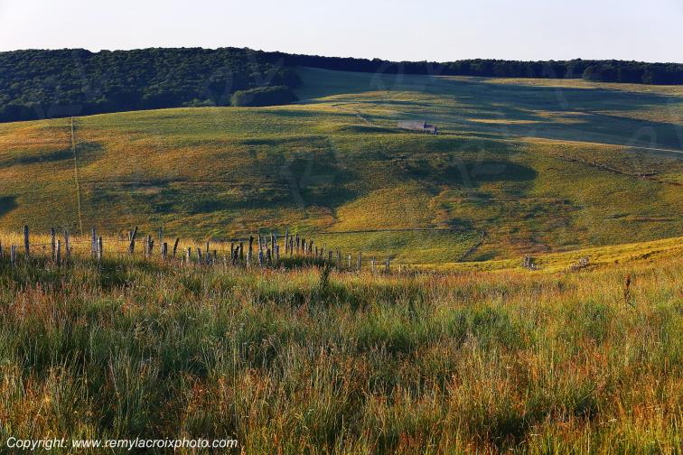 Col de la Matte Aubrac Cantal Auvergne Rh�ne-Alpes France www.remylacroixphoto.com