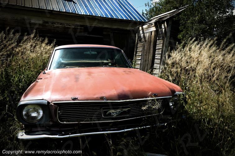 Ford Mustang 1964 South Dakota USA www.remylacroixphoto.com