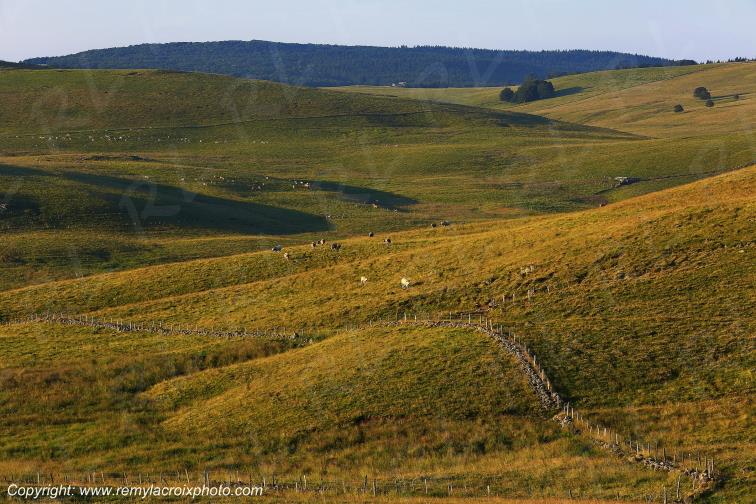 Col de la Matte Aubrac Cantal Auvergne Rh�ne-Alpes France www.remylacroixphoto.com