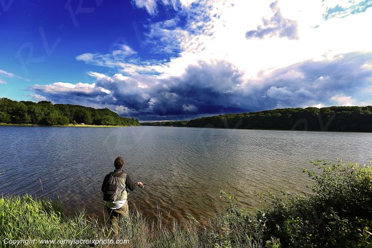 Tron�ais �tang Pirot for�t Allier Auvergne France