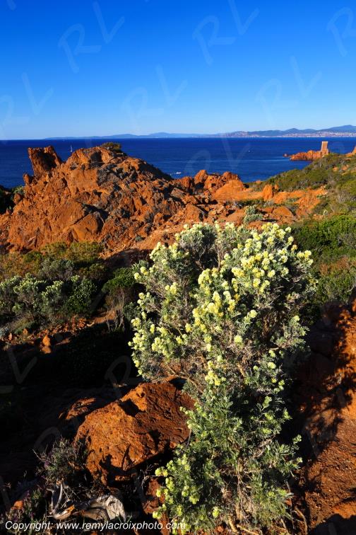 Cap du Dramont corniche de l'Esterel C�te d'Azur Var France