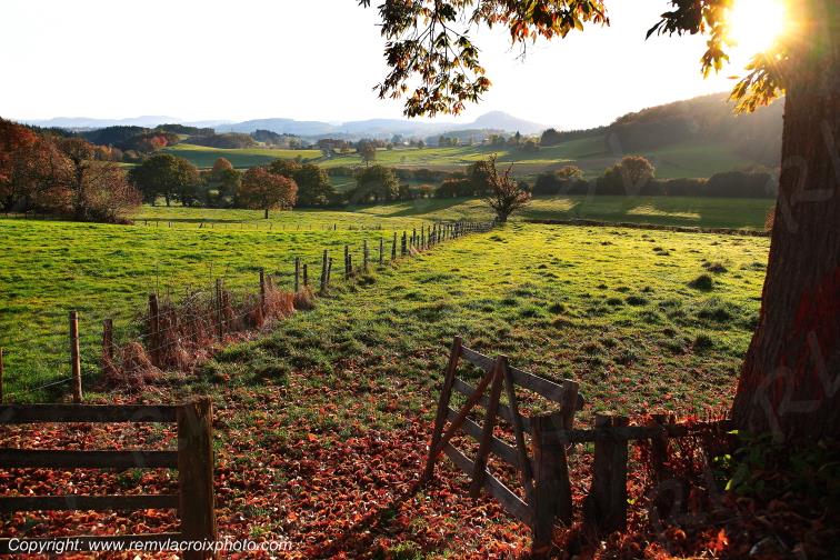 Saint L�ger sous Beuvray Morvan Sa�ne et Loire Bourgogne Franche Comt� France www.remylacroixphoto.com