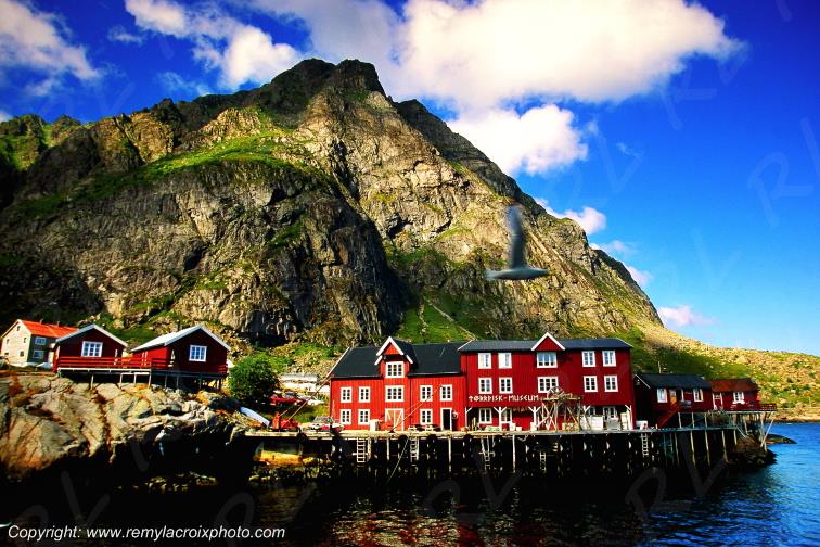 A Moskenesoy Island Lofoten Norv�ge Norway www.remylacroixphoto.com