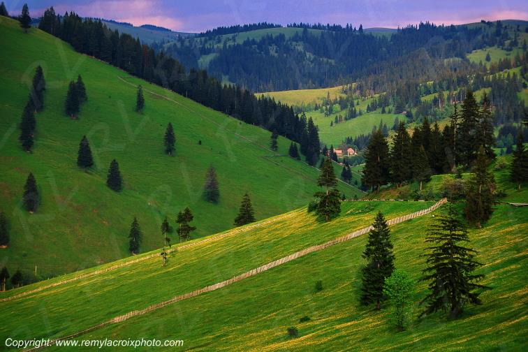 Moldovita Bucovine Moldave Romania Roumanie www.remylacroixphoto.com