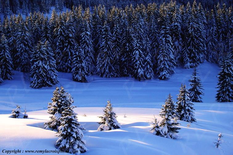 Les Saisies Savoie Alpes France www.remylacroixphoto.com