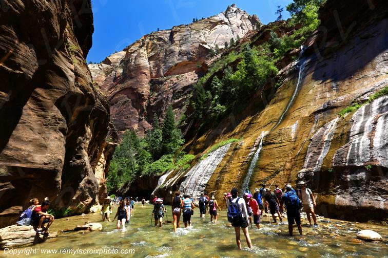 Riverside Walk Zion National Park Utah USA