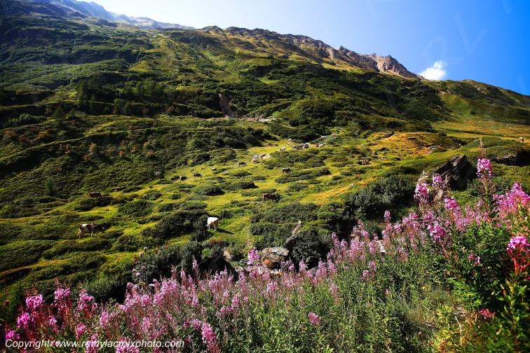 Nufenenpass Tessin Suisse Swiss Switzerland www.remylacroixphoto.com