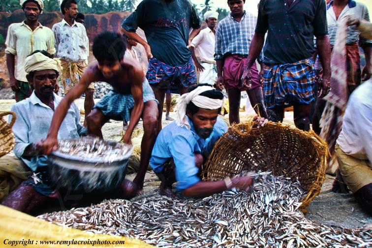 Varkala Beach Fishers p�che Kerala Inde India www.remylacroixphoto.com