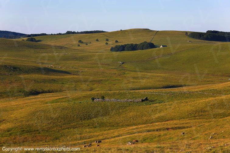 Col de la Matte Aubrac Cantal Auvergne Rh�ne-Alpes France www.remylacroixphoto.com