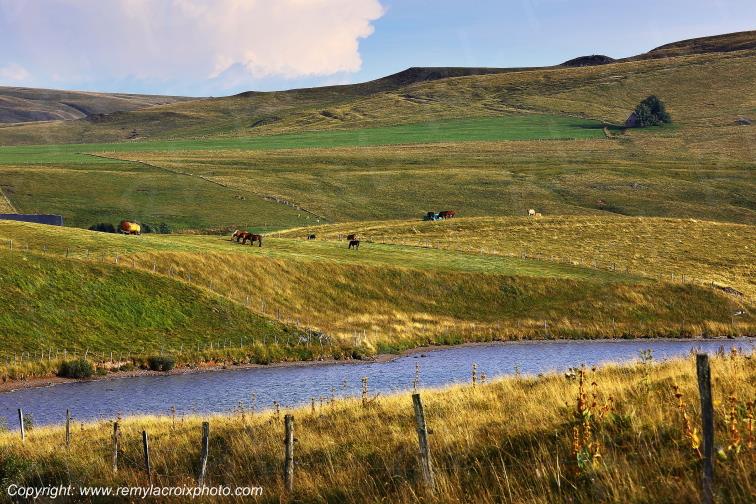 La Godivelle lac d'En-Haut C�zallier Puy de D�me Auvergne Rh�ne-Alpes France www.remylacroixphoto.com